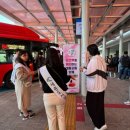 세종도시교통공사 이미지