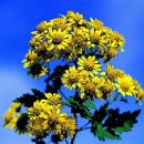 왕한의원 이미지