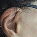 도봉-도봉-서울도봉-2185 | [수유보청기]시그니아독일보청기 도봉센터에서 엄마 보청기 맞추고 온 후기