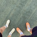 창포원로 이미지