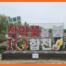 핫들 티스토리