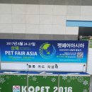 독스위시