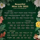 뷰티풀민트라이프 2025 후기 탑텐 반팔티 트윈룩으로 코디한 뮤직 페스티벌룩!