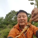 겸하다 이미지