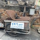 나주은행나무수목원 네이버블로그