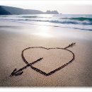 향기고운Ⅱ 이미지