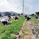 농소동주민센터 이미지