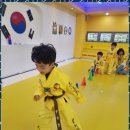 용인대 청명 태권도 이미지