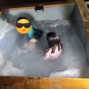 제주작은별 이미지