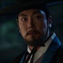 뿌리깊은나무 이미지