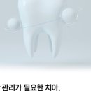 대청리 네이버블로그