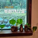 금동축산 | 서울에서부여 1박2일 버스타고 간 충남 여행 후기