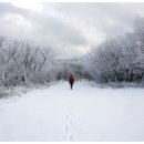 바람개비