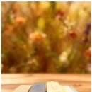 수원-0271 이미지