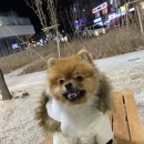 멍팔자 상팔자 이미지
