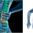 J2M SPORTS 이미지