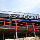 알제로스터스