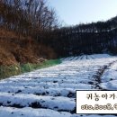 백곡농장 이미지