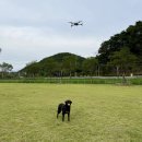 멍스테이 | 🐾 합천 멍스테이 캠핑 후기