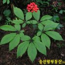 윤성공인중개사사무소 이미지