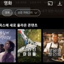 [넷플릭스] 영화 바람에 속삭이다(Whispers in the Wind) 후기 - 사랑과 상처, 바람에 담다.