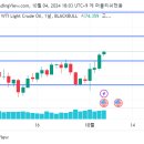 WTI 홀딩 이미지