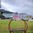 꽃 | 정읍 구절초 꽃축제 방문후기 장민호 박창근 공연