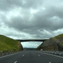 오시반상 | 선데이 마켓, 노동절 연휴, 꿀벌 근황