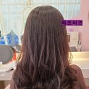 제르비안 이미지