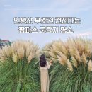 서  변 이미지