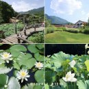 8월19일(수) 올여름 아직 휴가 계획 없으신 회원님 여기 어떠세요 !! 이미지