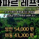 지엔티투어