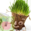 AP어린이집 이미지