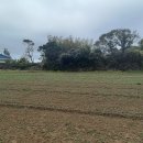 삼달1리 이미지