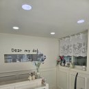 디어 마이 독 이미지