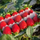 아람유통 이미지