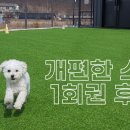 개편한 스쿨 이미지