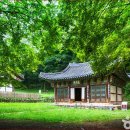 마곡사 - 1051 | 마곡사