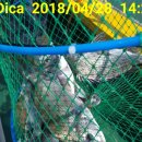 갯바위펜션 이미지