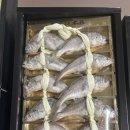 마니다믐 네이버블로그