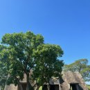 연희목장 이미지