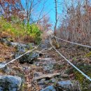 용봉약수터 | 비슬산 소재사, 용봉 석조 약사여래불