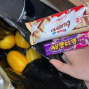 완다브랜딩 | [월간일기] 다시 돌아오지 않을 뇽뇽의 22년 5월 정리