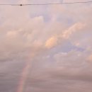 하선1급자동차서비스 이미지