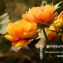 SNP모터스 이미지