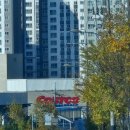 코스트코 천안점 | [충남/천안] 코스트코 천안점 내돈내산 후기 가격