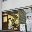 서촌미용실 추천 – 광화문/경복궁역 커트 맛집 ‘주란 디자이너’님께 커트 받고 왔어요!