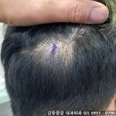 천보성 이미지