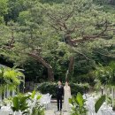 서래로10길 26 (3) | [W] 베뉴_르한스 웨딩 26년 상담 및 계약 후기 (견적 공유)