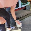 대관령주주파크 이미지
